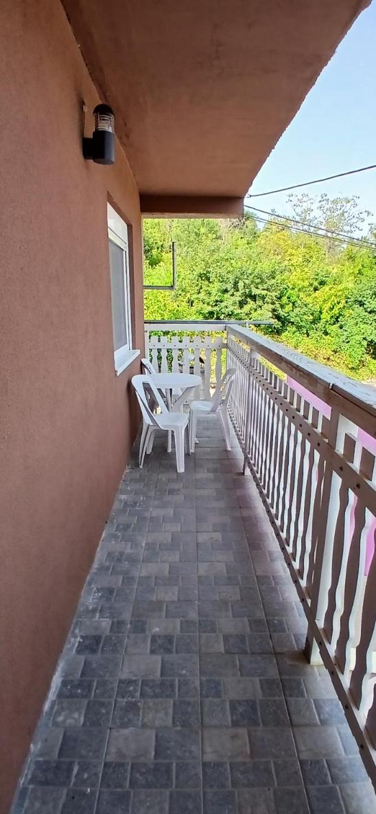 Sara