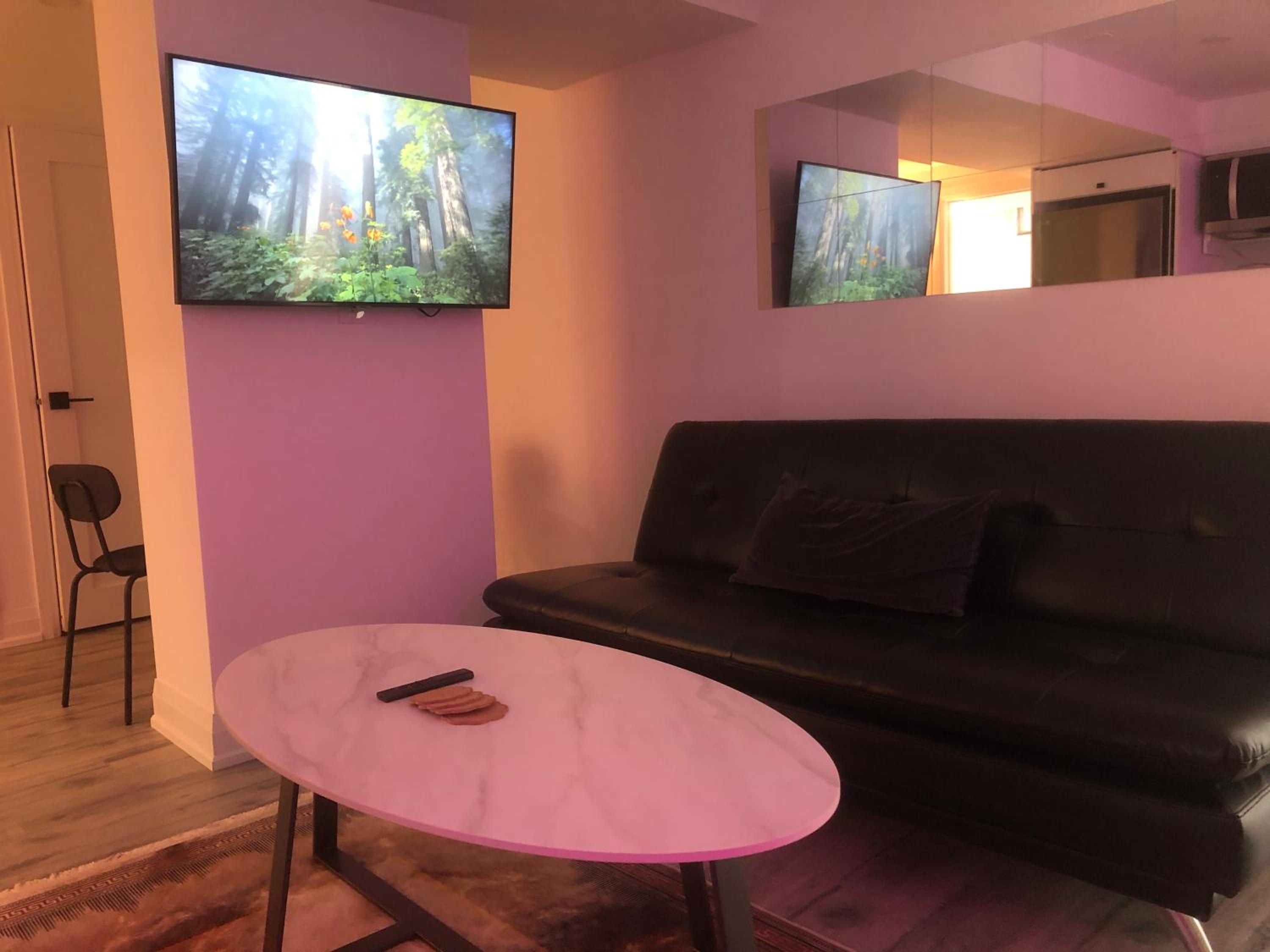 Private modern basement