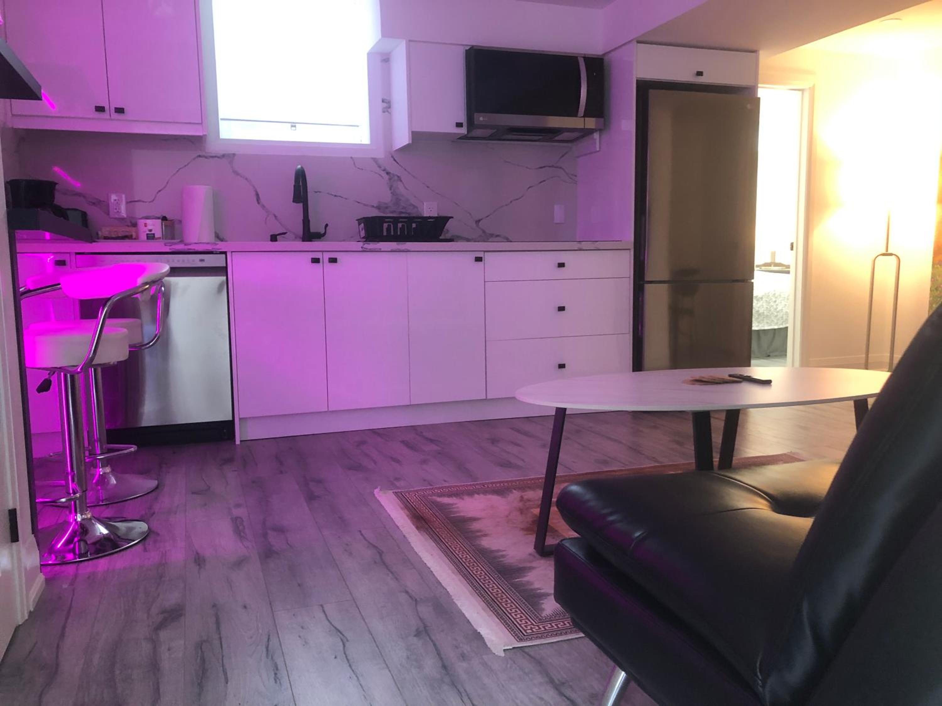 Private modern basement