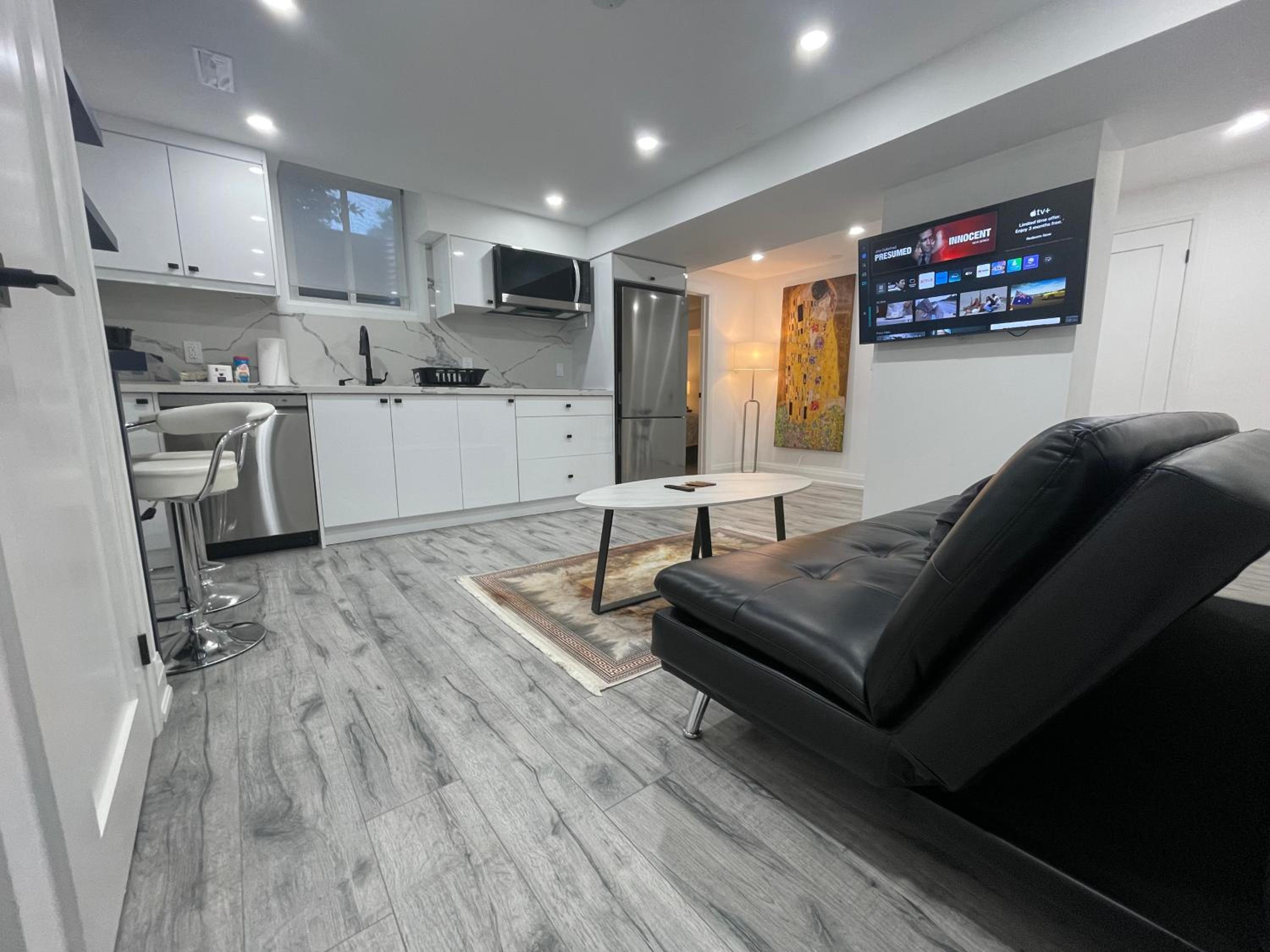 Private modern basement