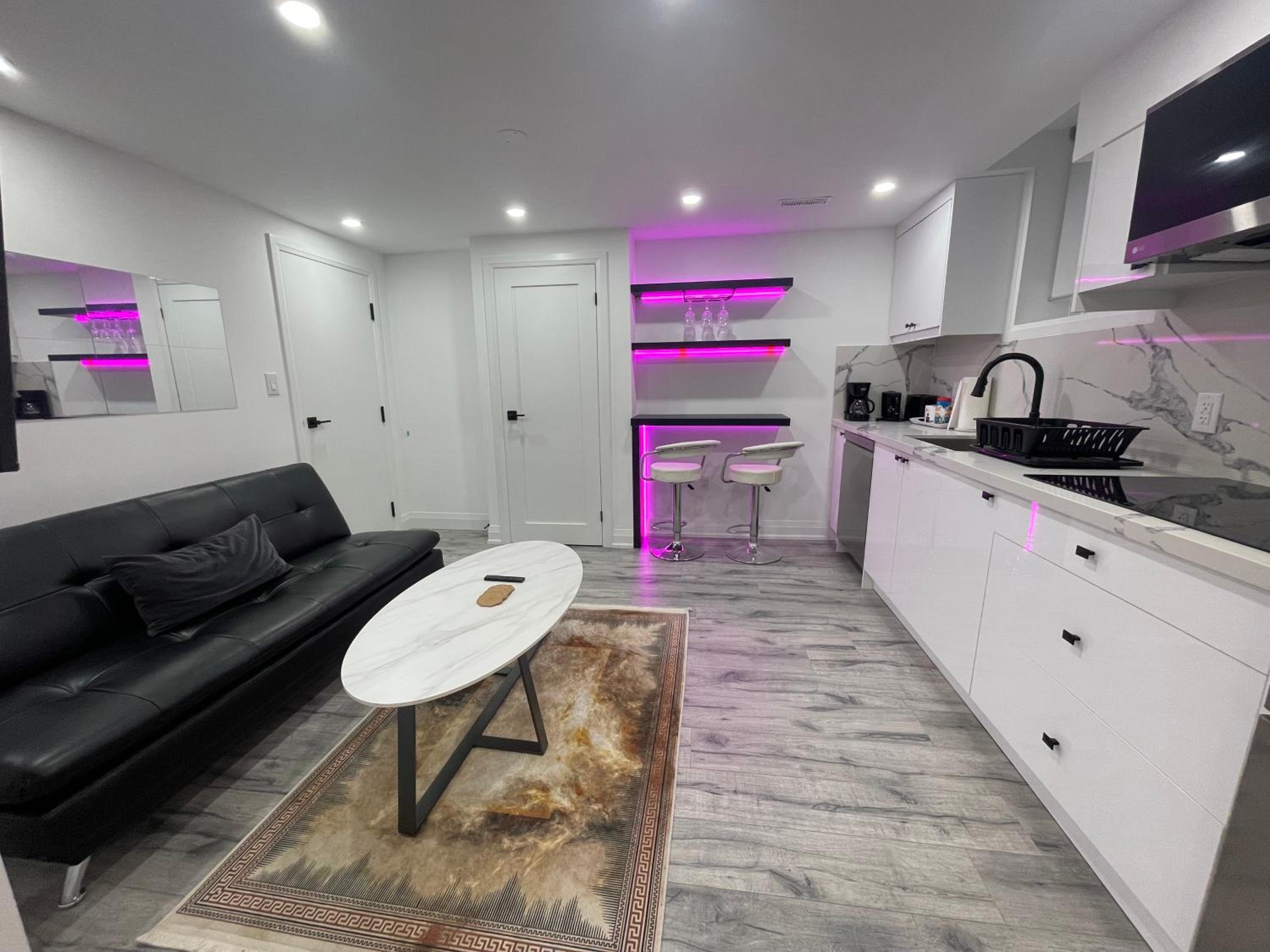 Private modern basement