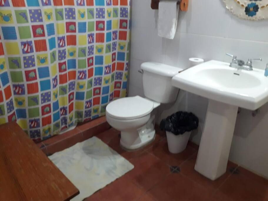 Photo 23