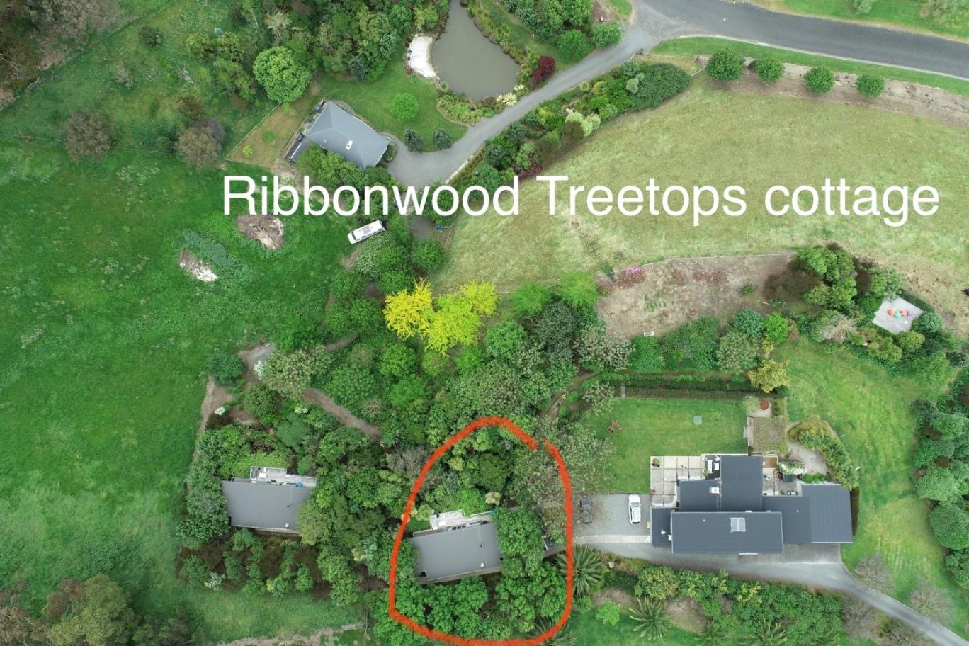 Ribbonwood Treetops cottage view 2