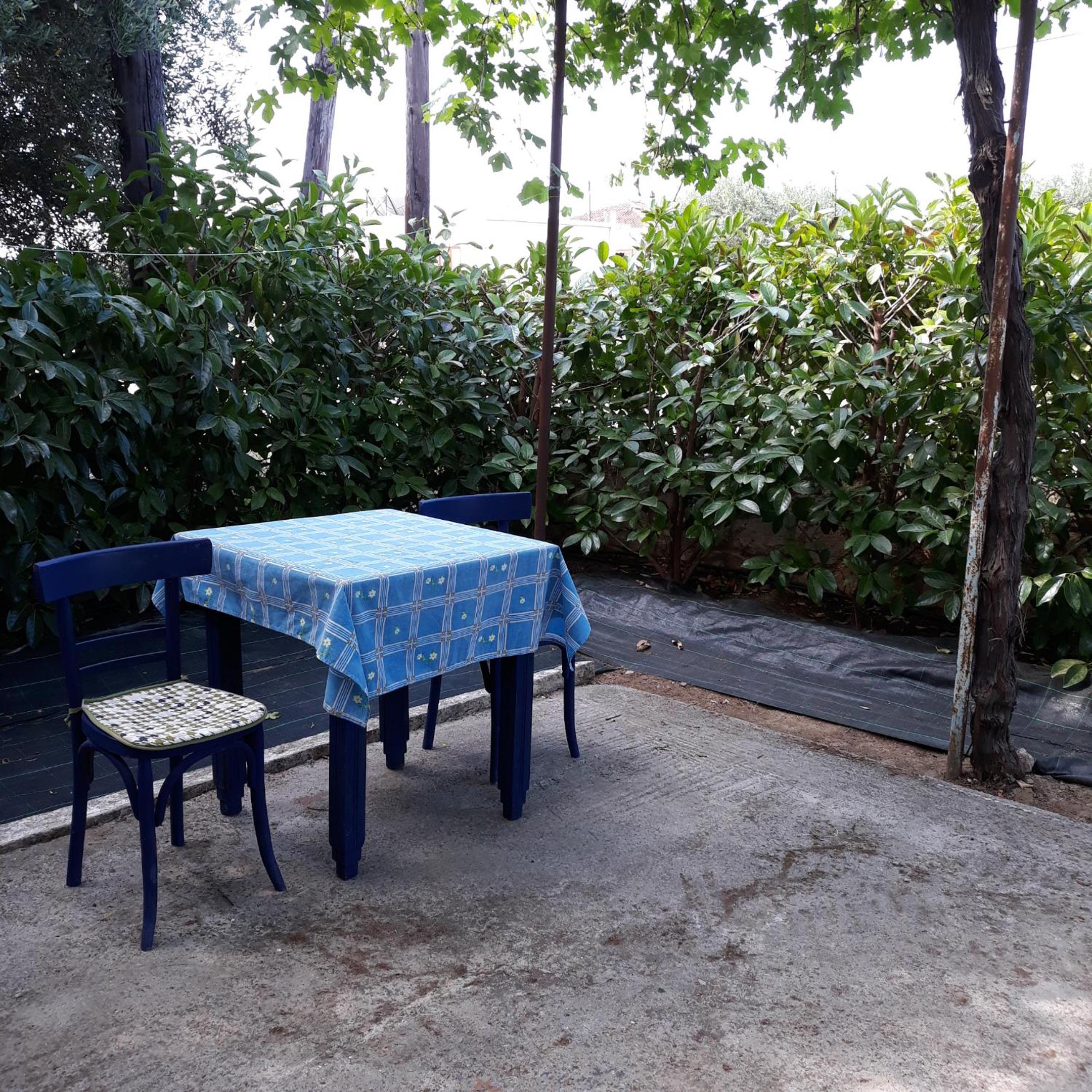 Politimis house