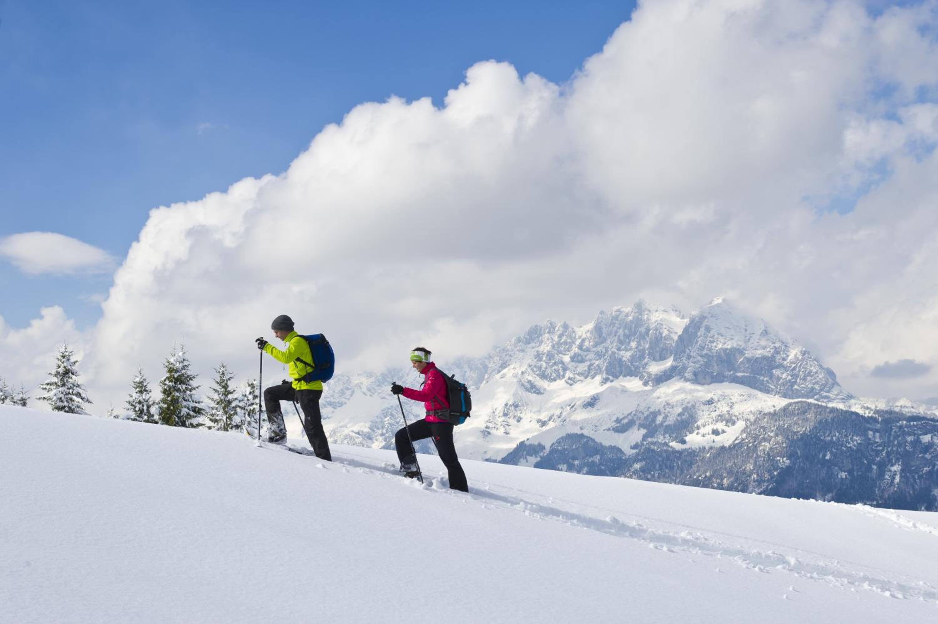 Alpenappartement Europa