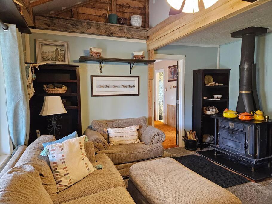 Photo 8