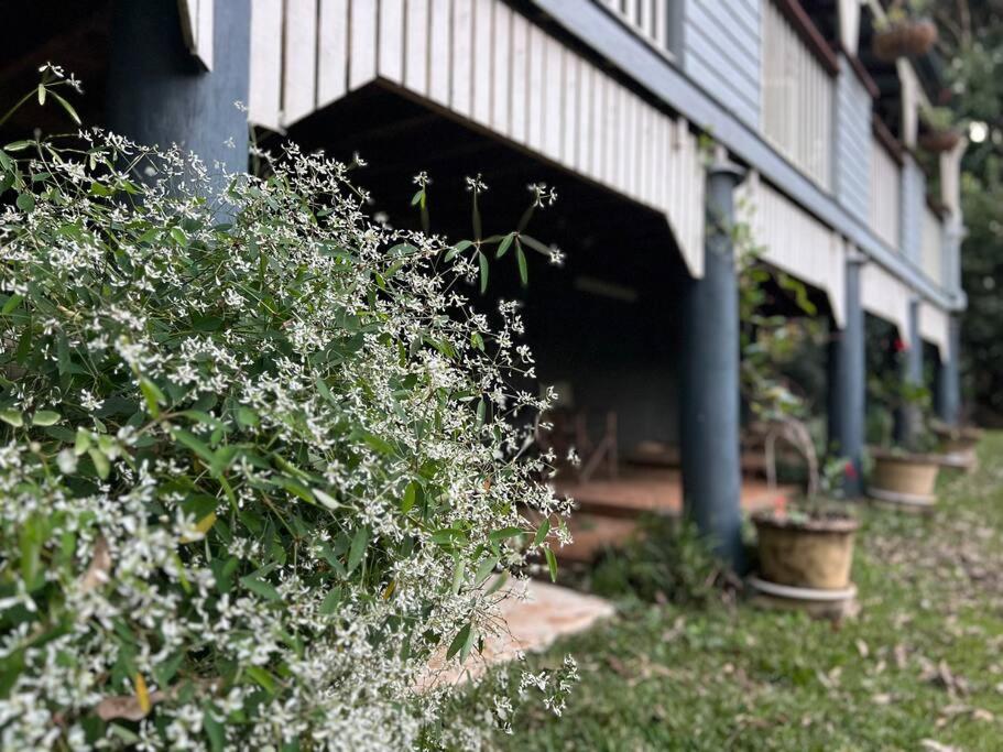 Maringa House
