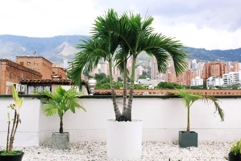 Apartamento zona rosa El poblado 202