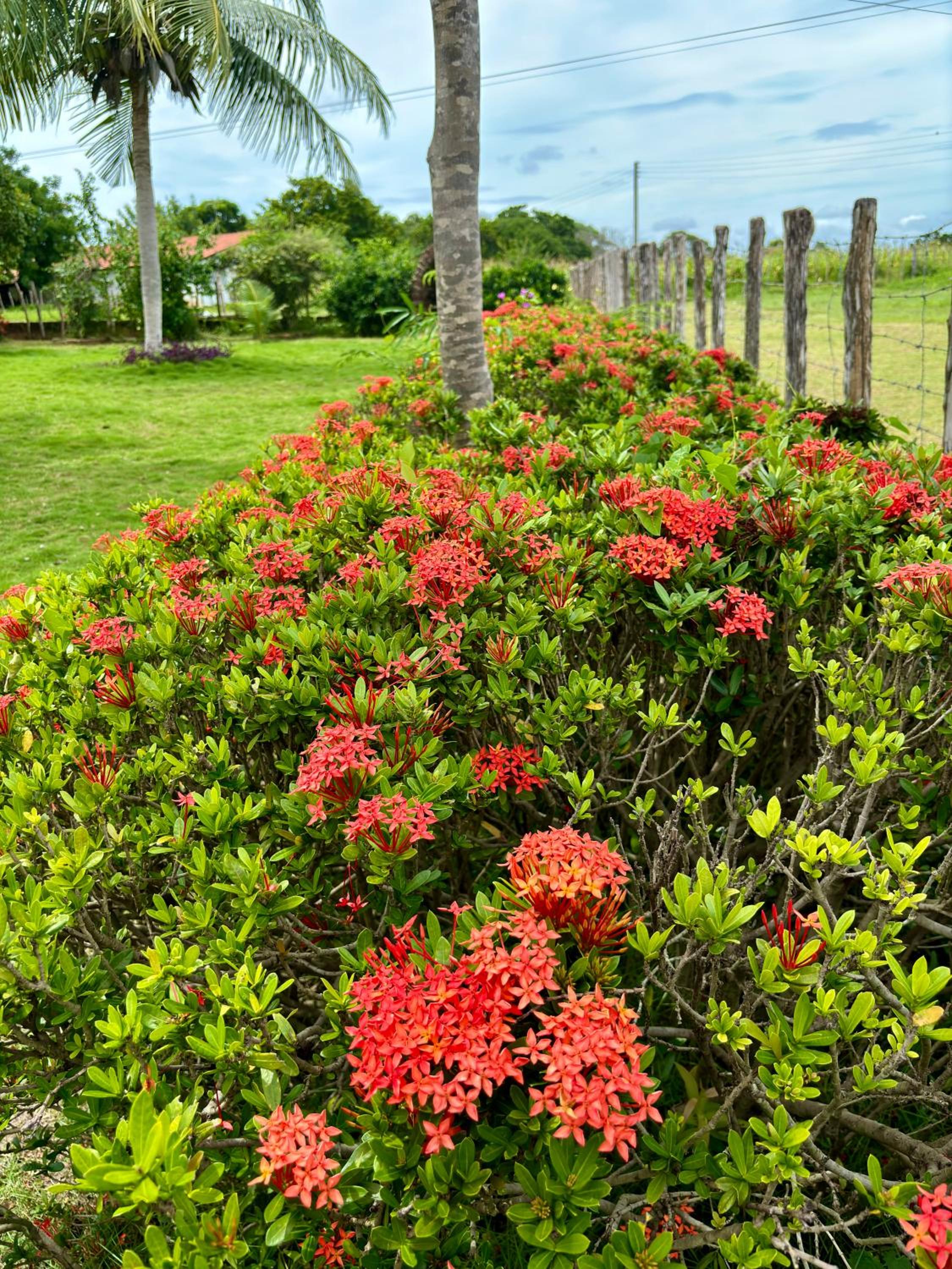 Fazenda Aprazível