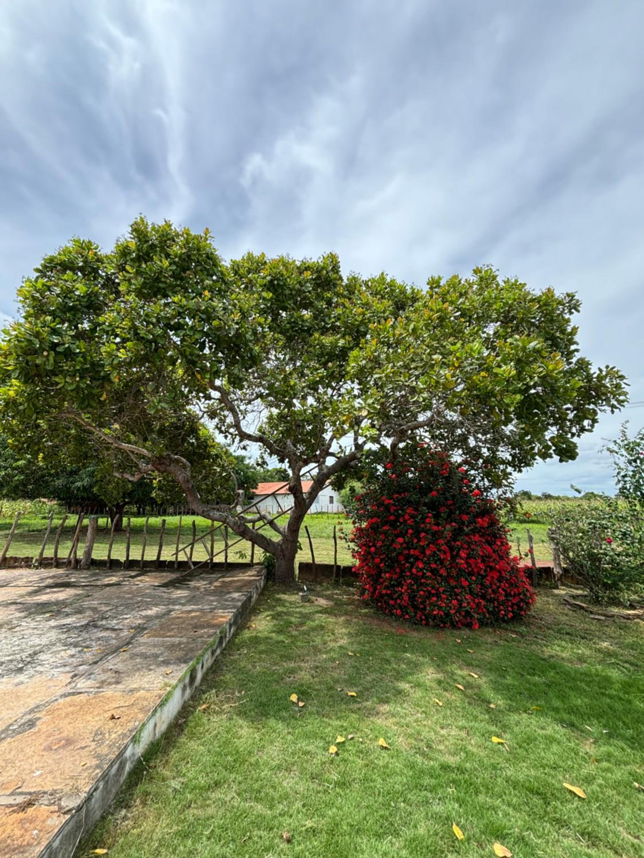 Fazenda Aprazível