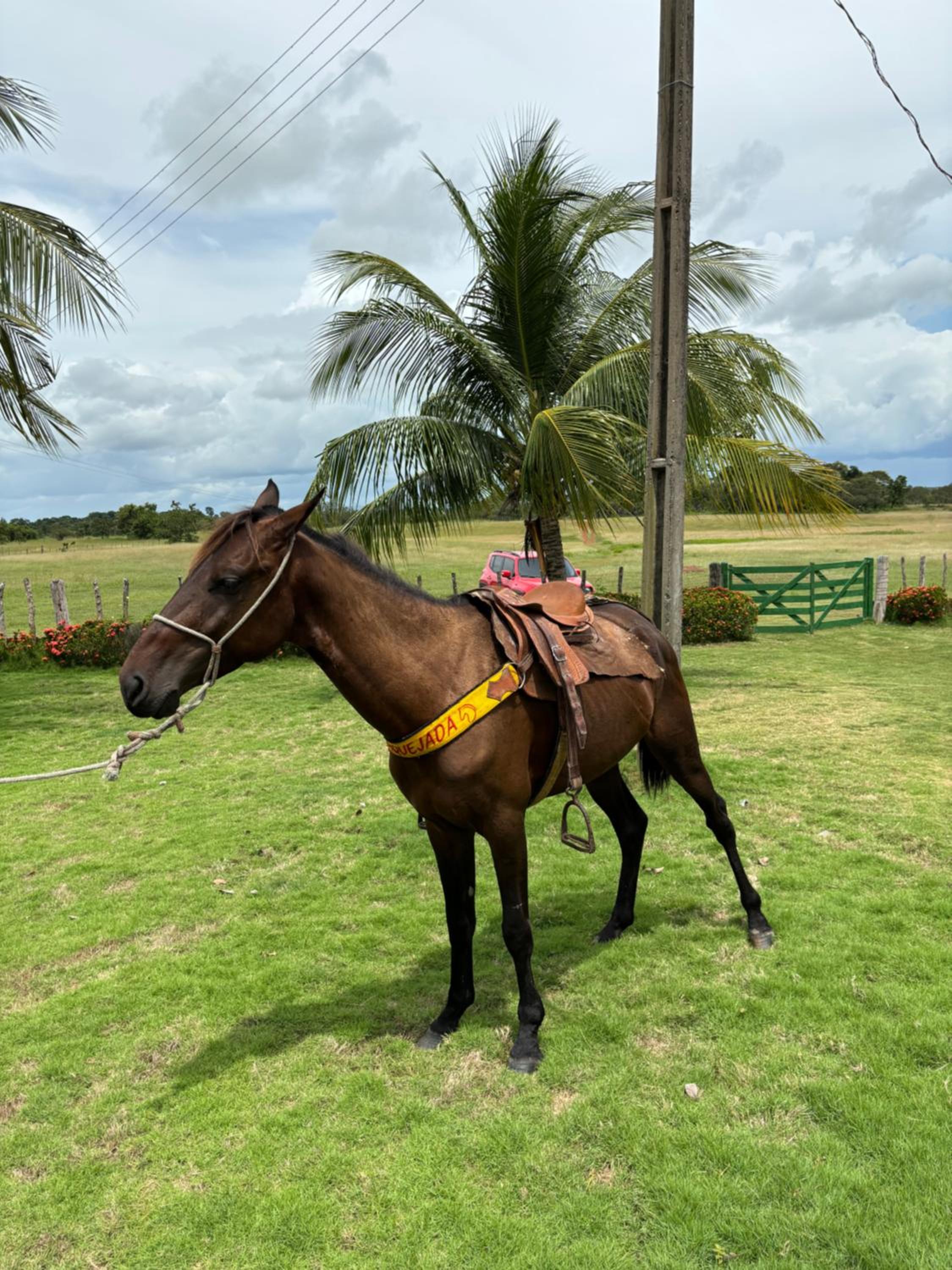 Fazenda Aprazível