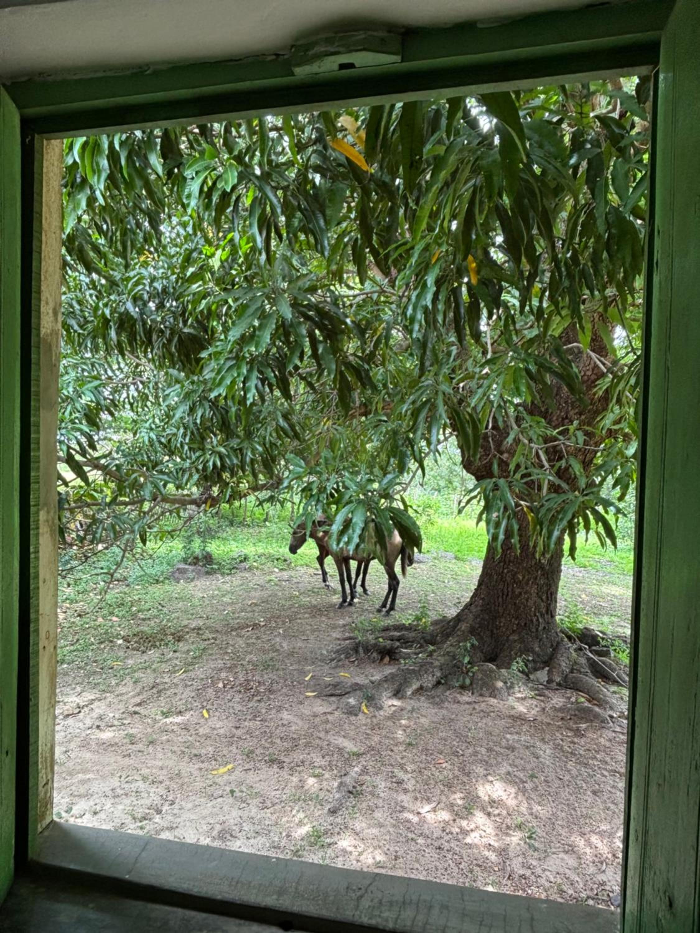 Fazenda Aprazível