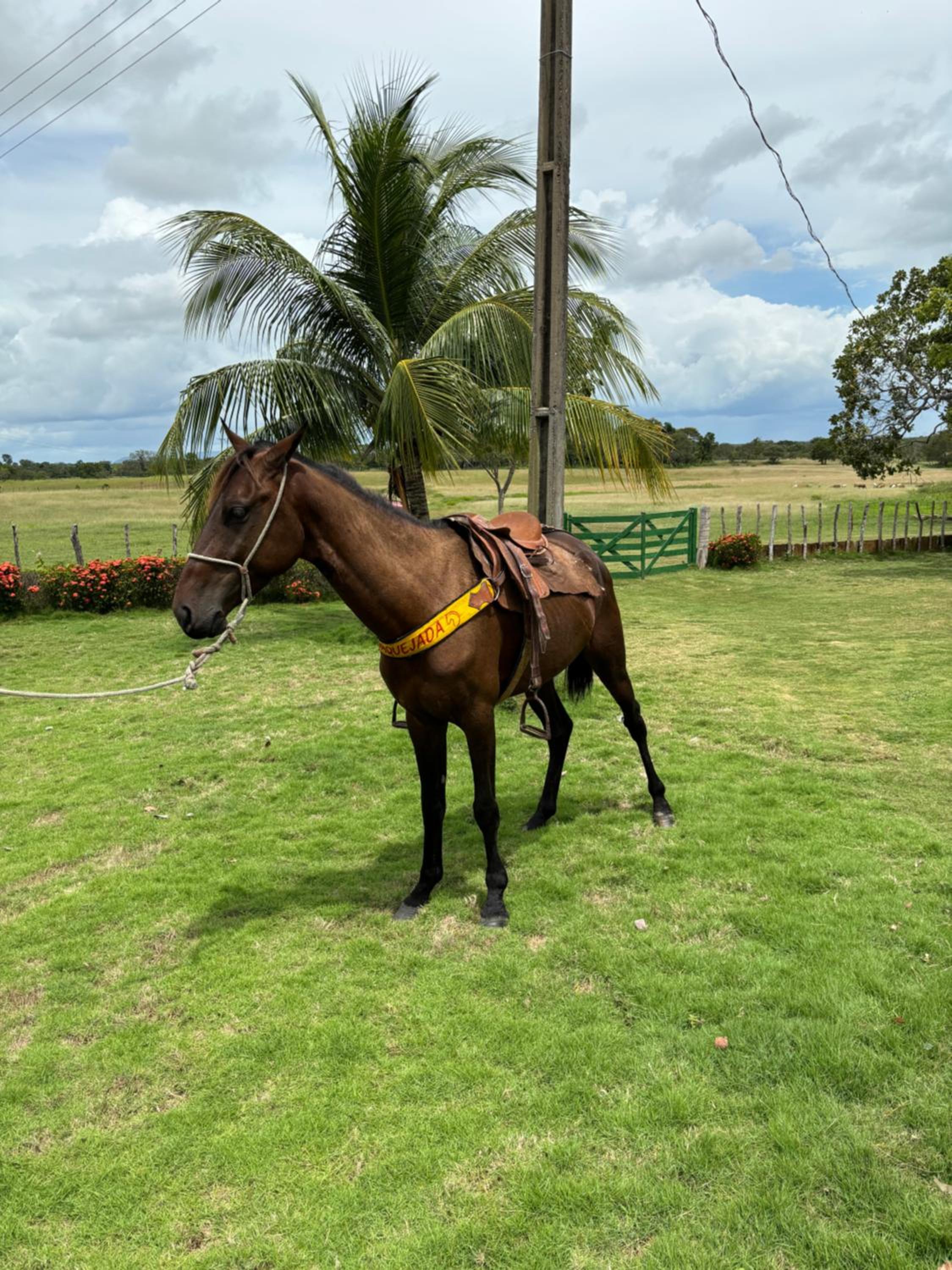 Fazenda Aprazível