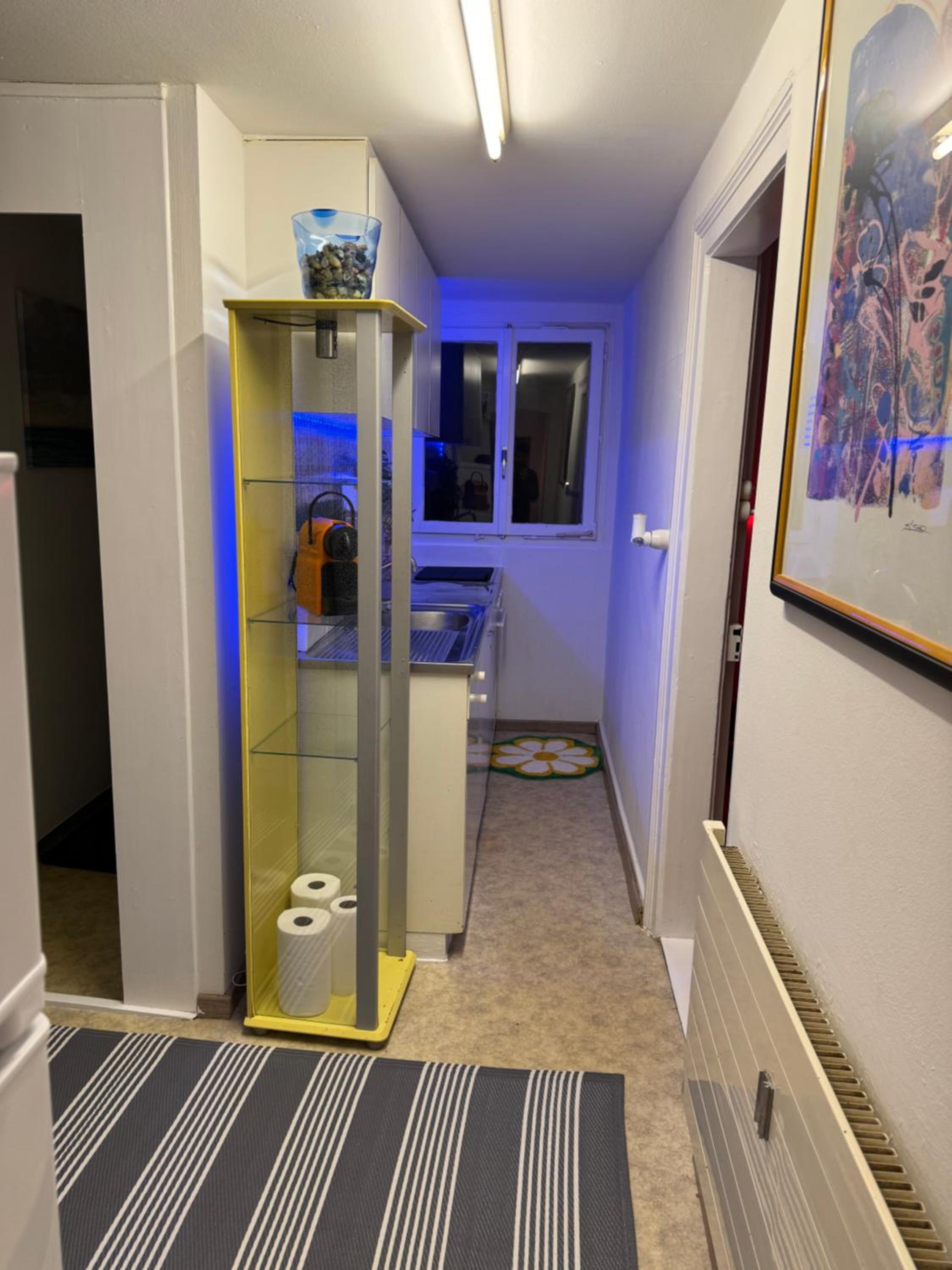 Nice Apartment