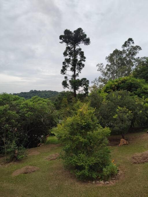Recanto da Zizi e do Nezico