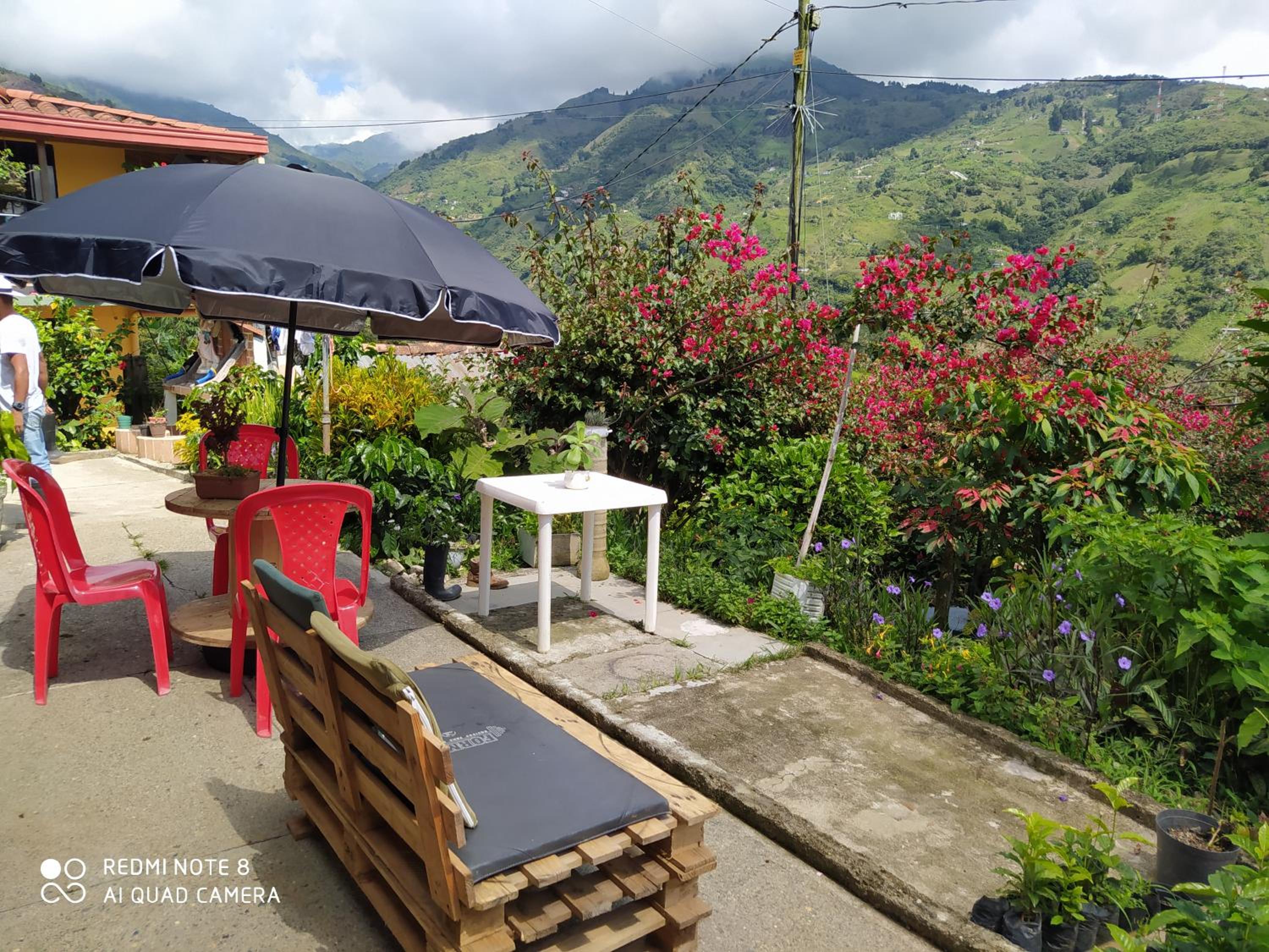 pequeña casa en finca cafetera