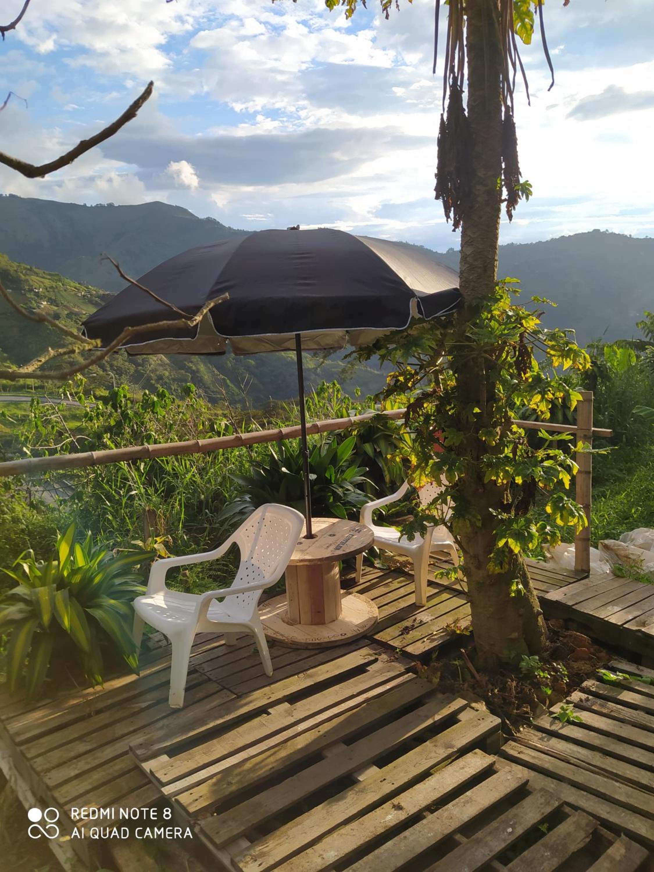 pequeña casa en finca cafetera