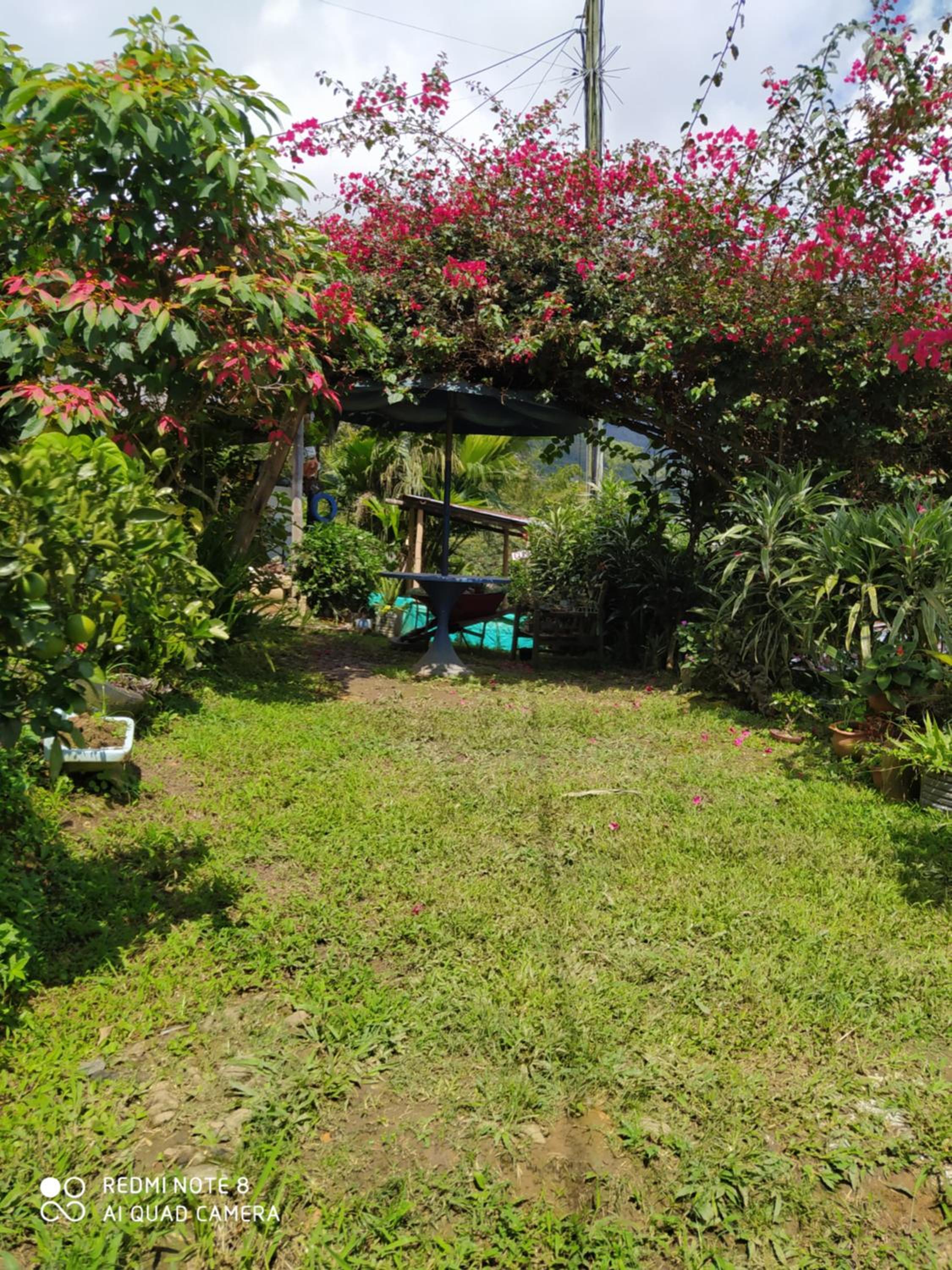 pequeña casa en finca cafetera