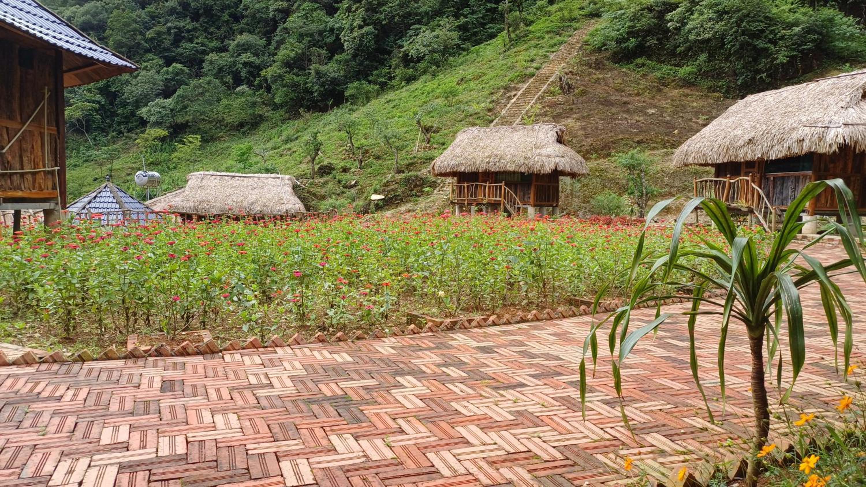 Homestay Highland Hmong view 3