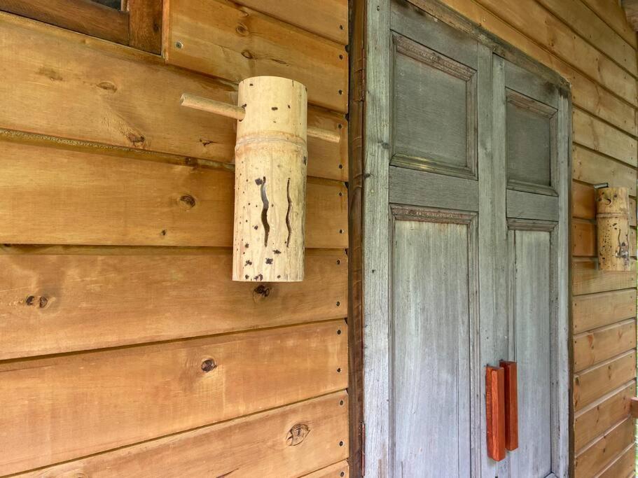 Relaxing EcoHome in bambú forest