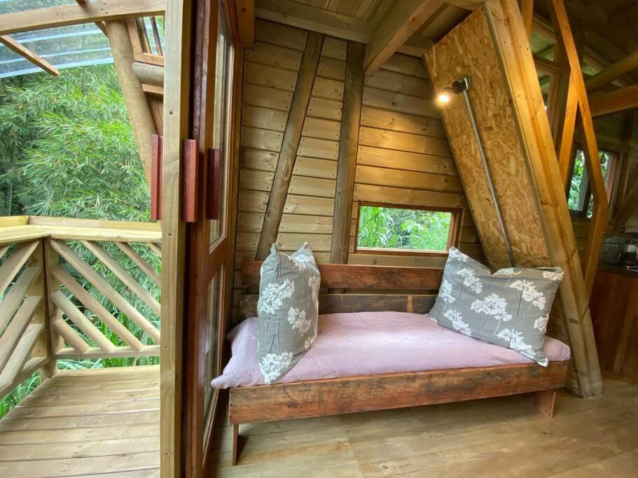Relaxing EcoHome in bambú forest