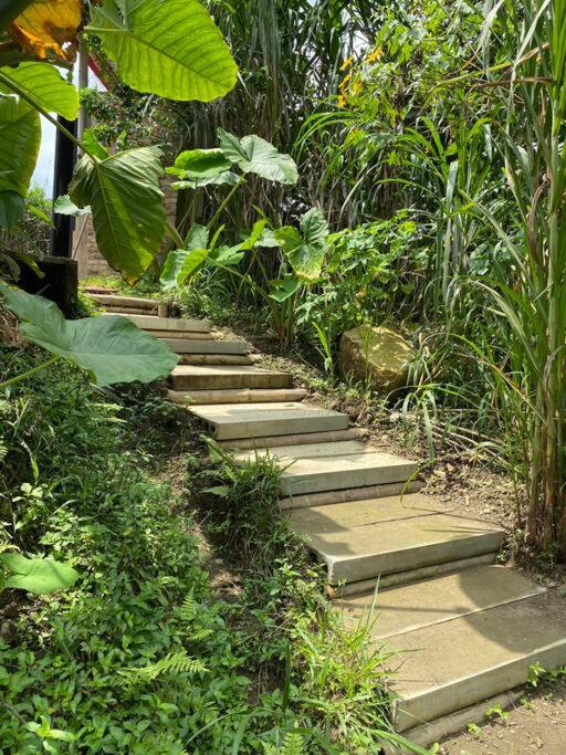 Relaxing EcoHome in bambú forest
