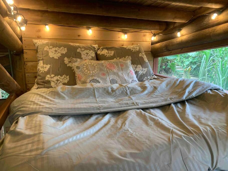 Relaxing EcoHome in bambú forest