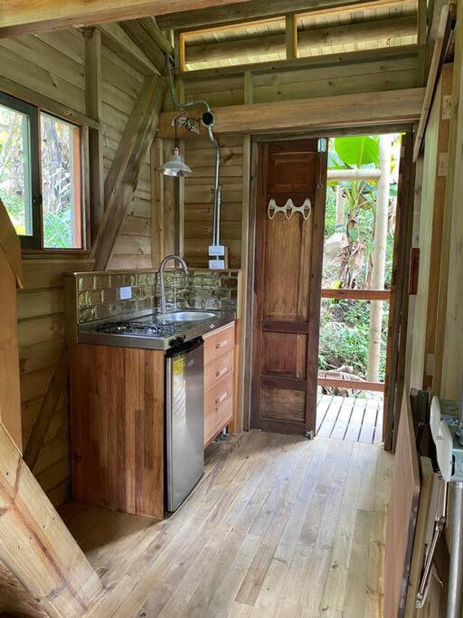 Relaxing EcoHome in bambú forest