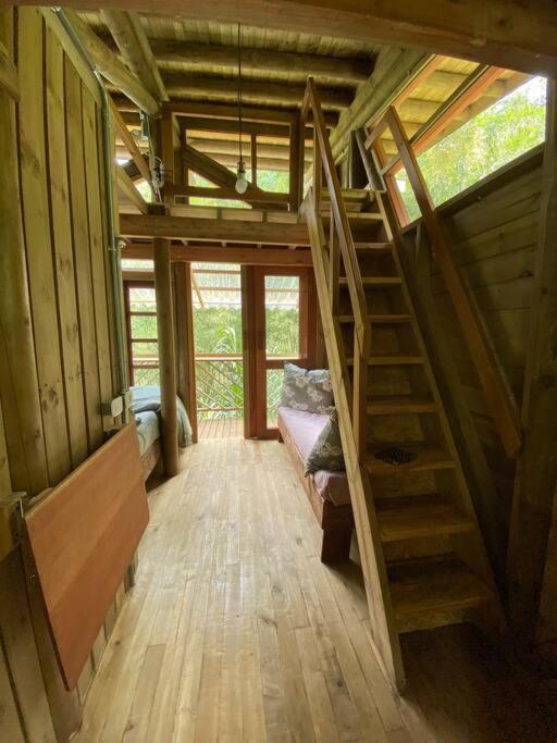 Relaxing EcoHome in bambú forest