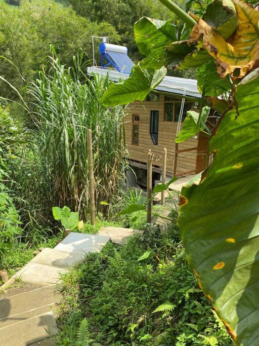 Relaxing EcoHome in bambú forest