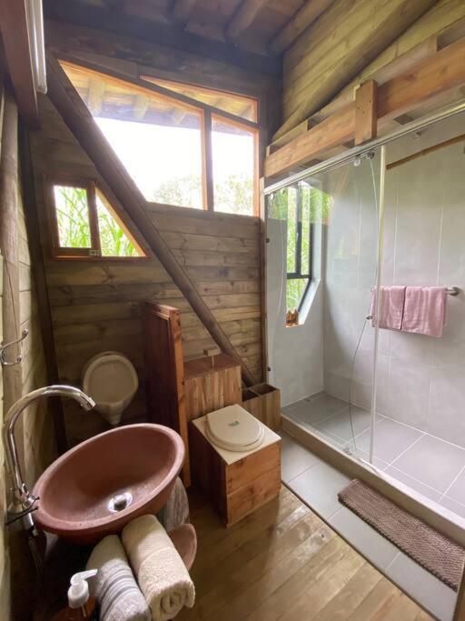 Relaxing EcoHome in bambú forest