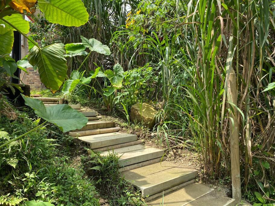 Relaxing EcoHome in bambú forest