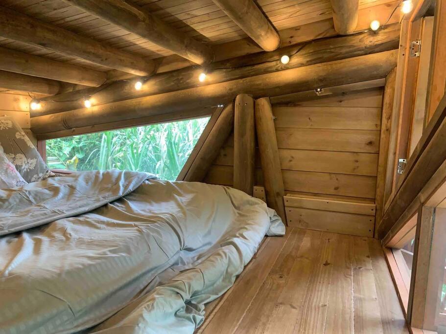 Relaxing EcoHome in bambú forest