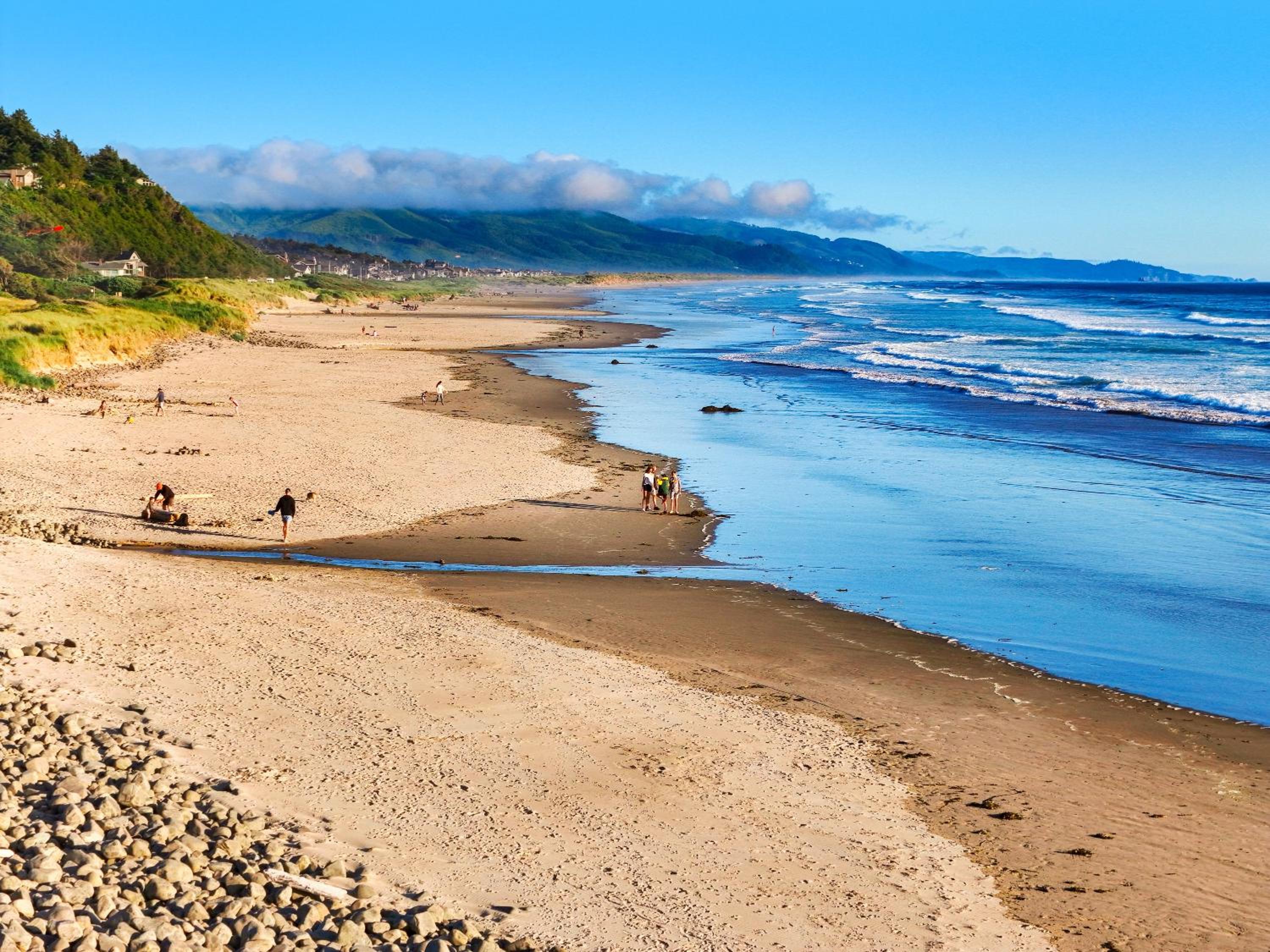 Manzanita Oceanview Retreat Pet Friendly Stay view 4