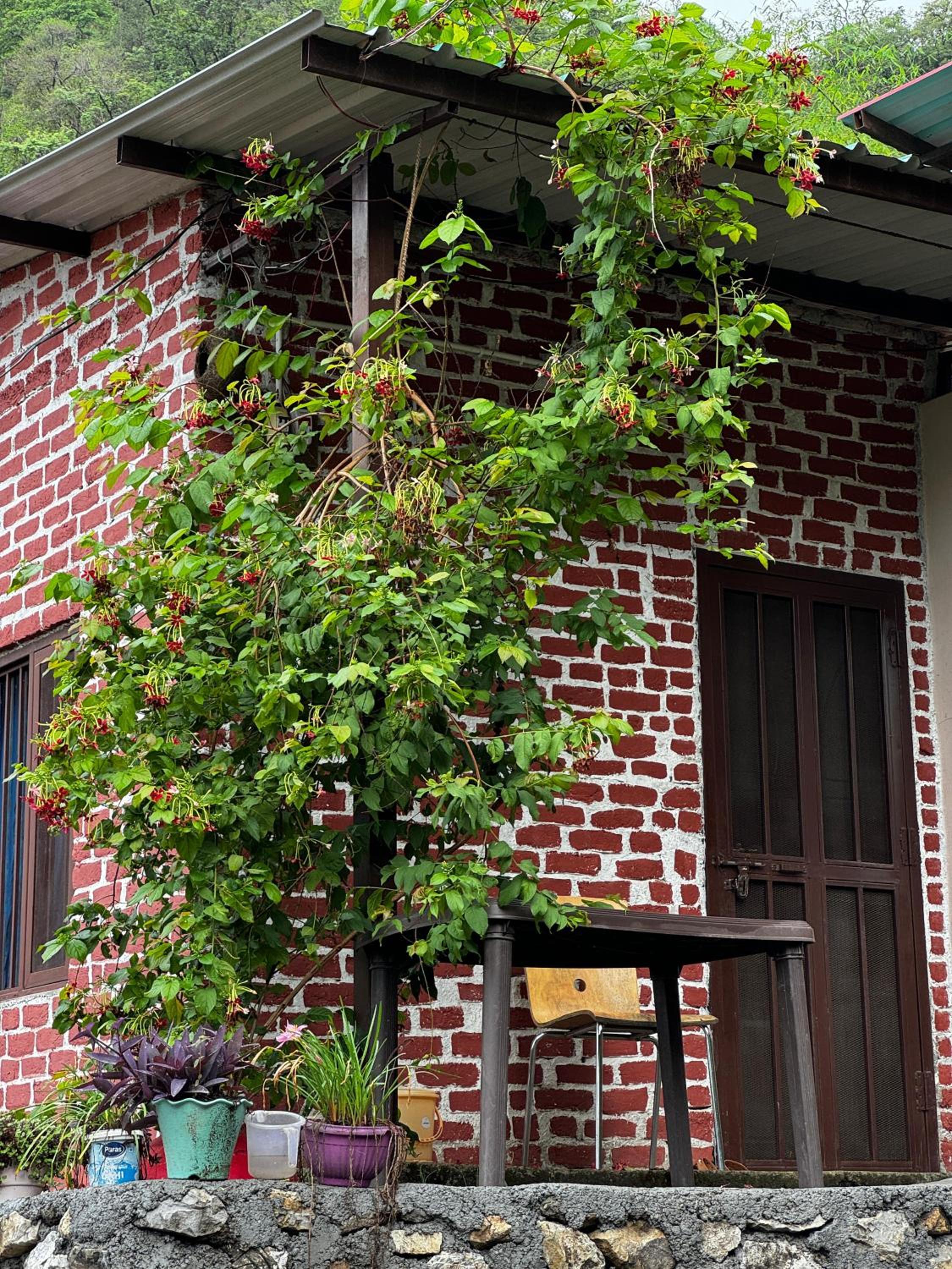 Krishnavaas homestay