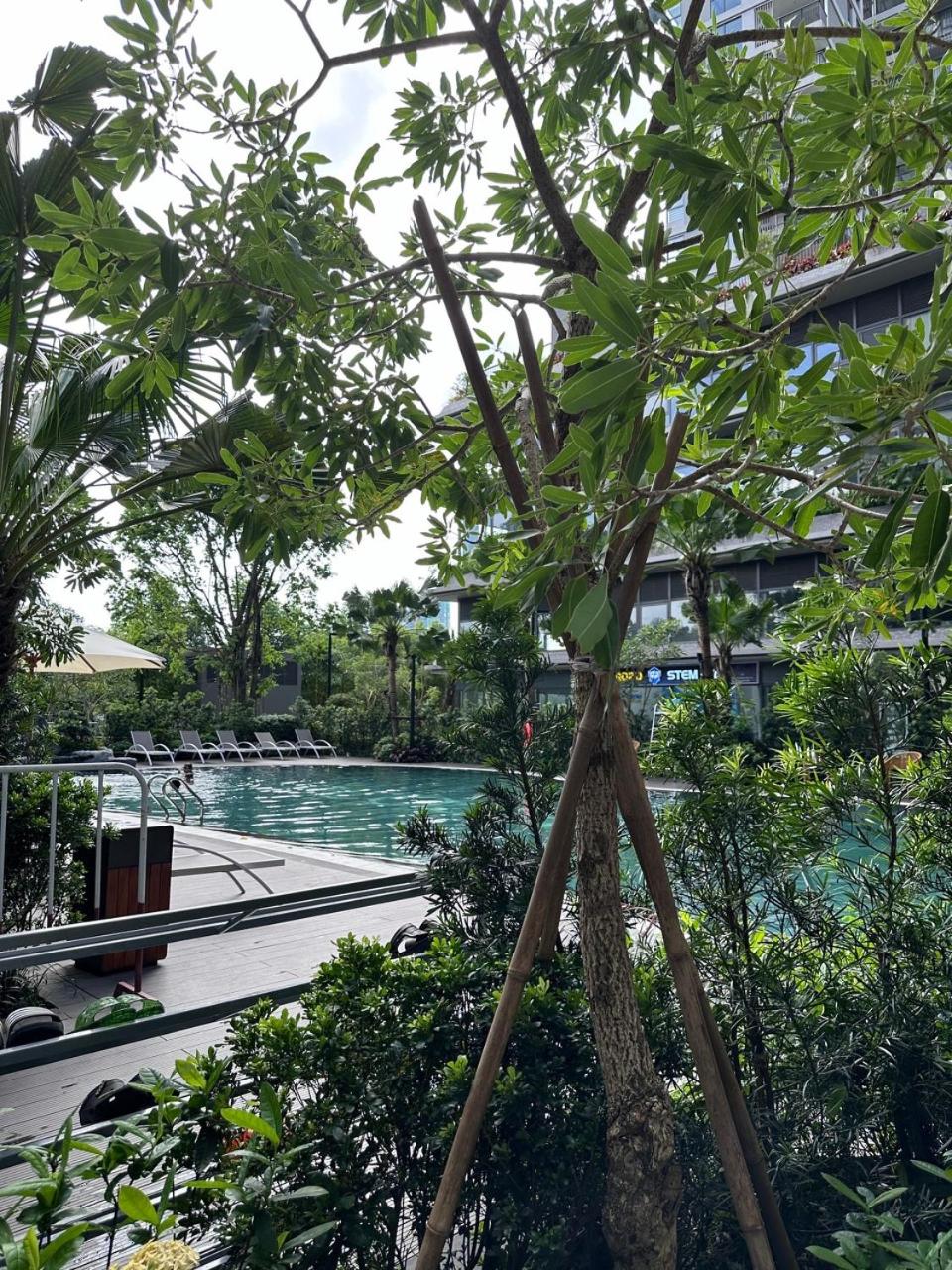 Yên home - 2Brd lake view homestay Onsen Ecopark view 5