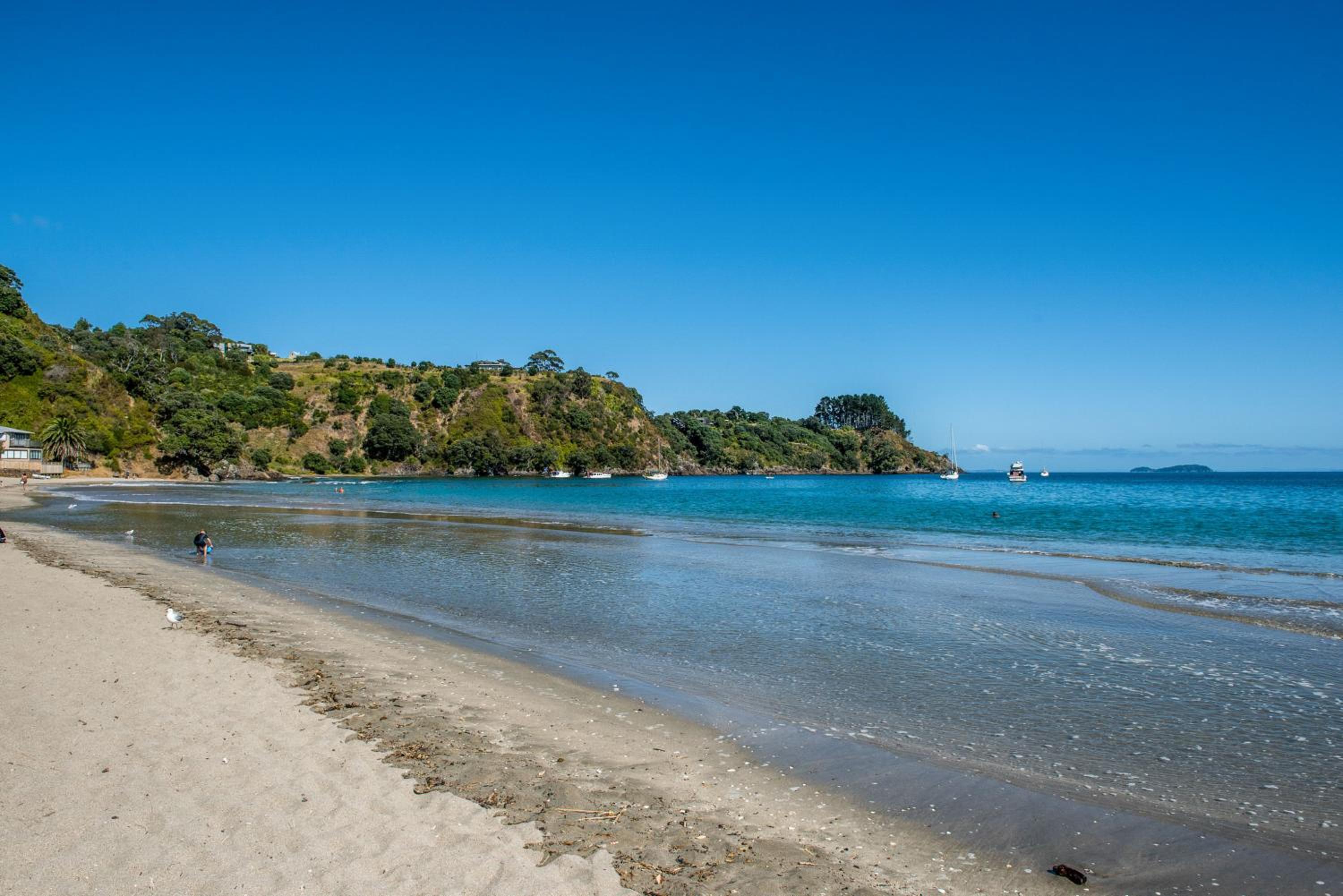Island Sanctuary - Waiheke Holiday Home