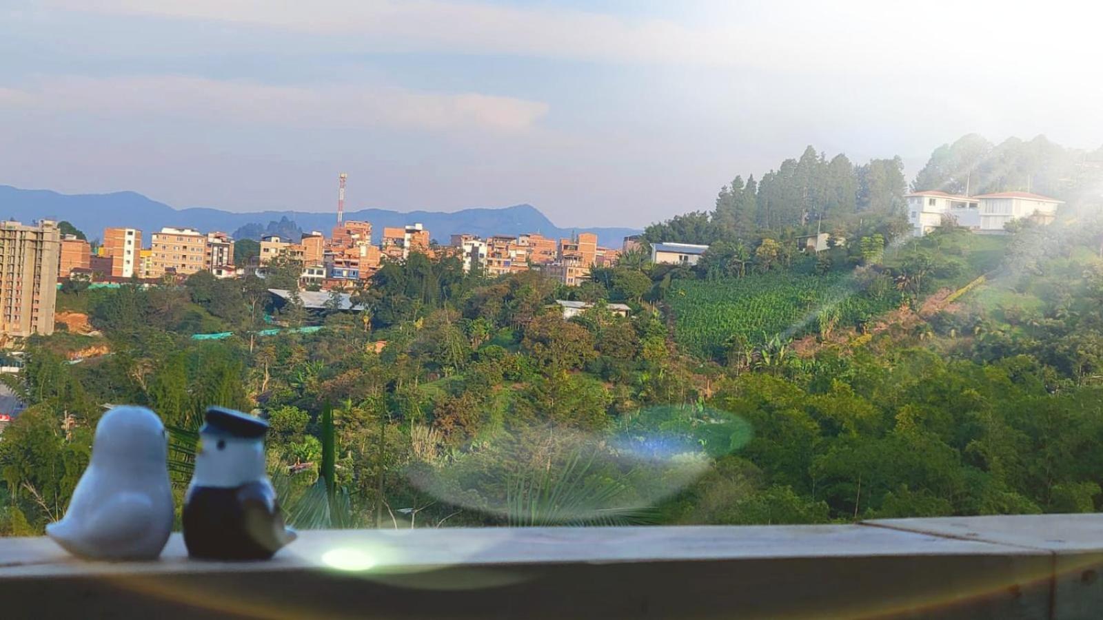 EDYMA Cabaña con JACUZZI