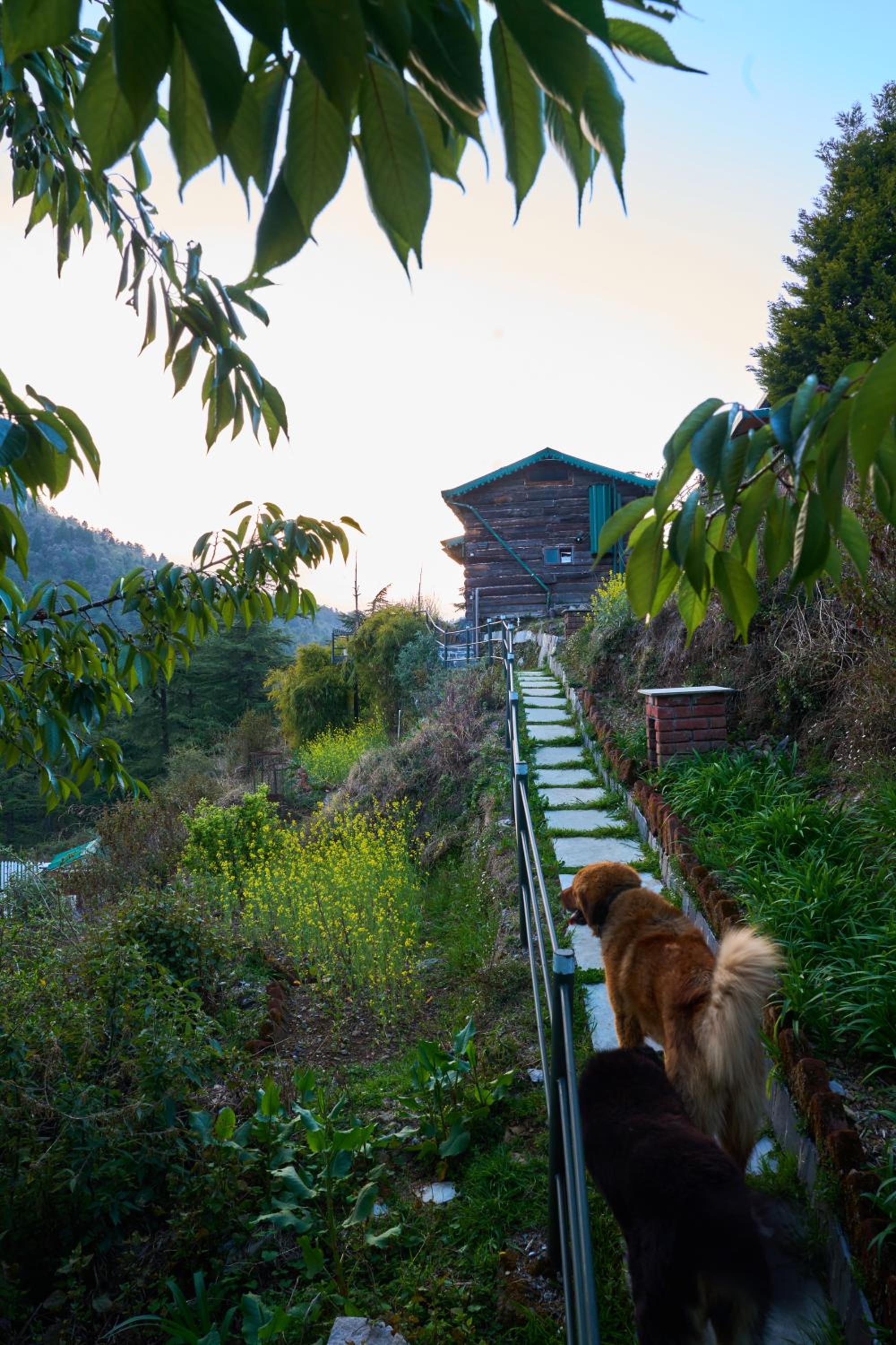 Mussoorie Vacations - Seegreen Lodges - Property Image 3