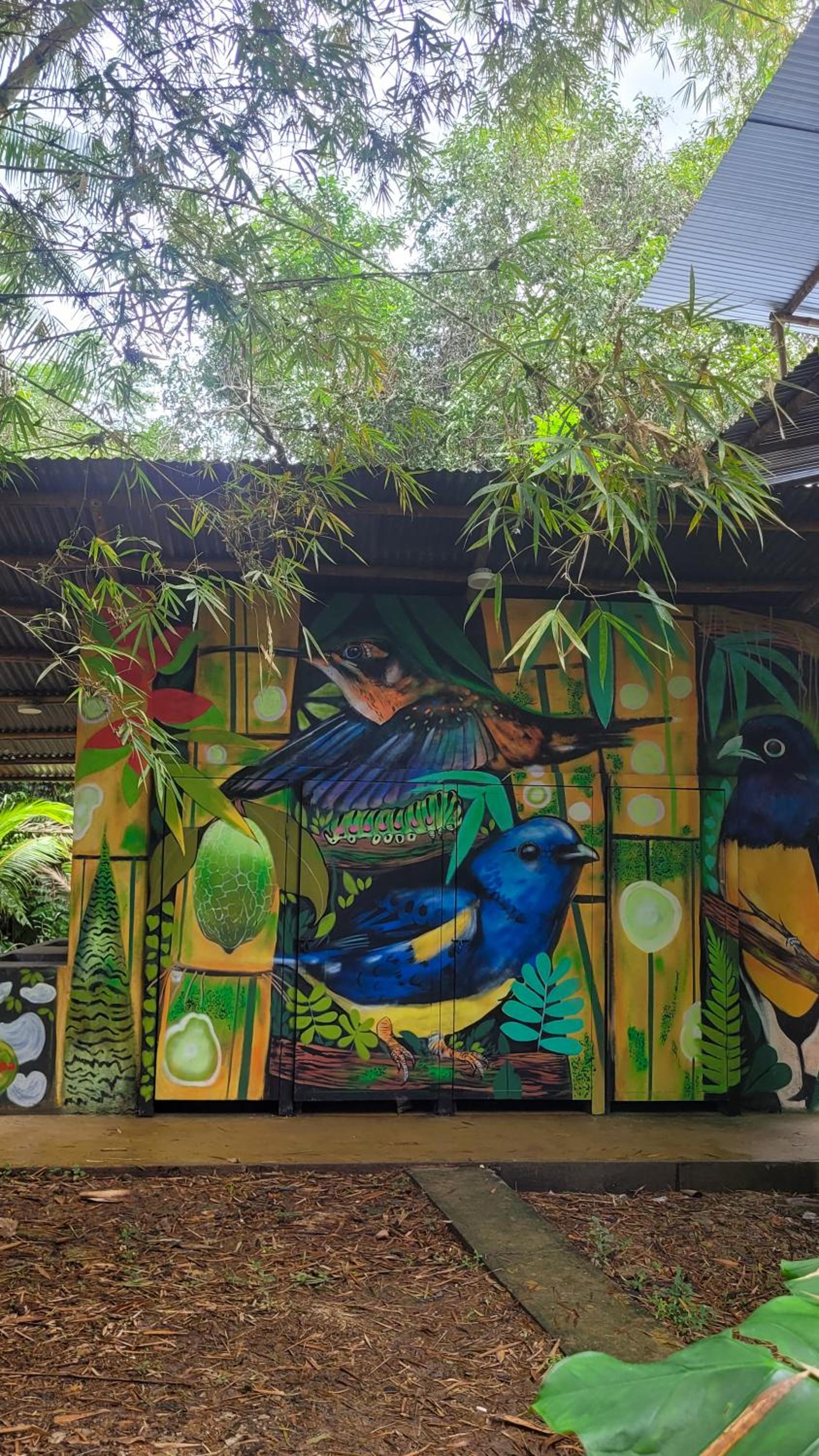 Eco Hostel RENASE