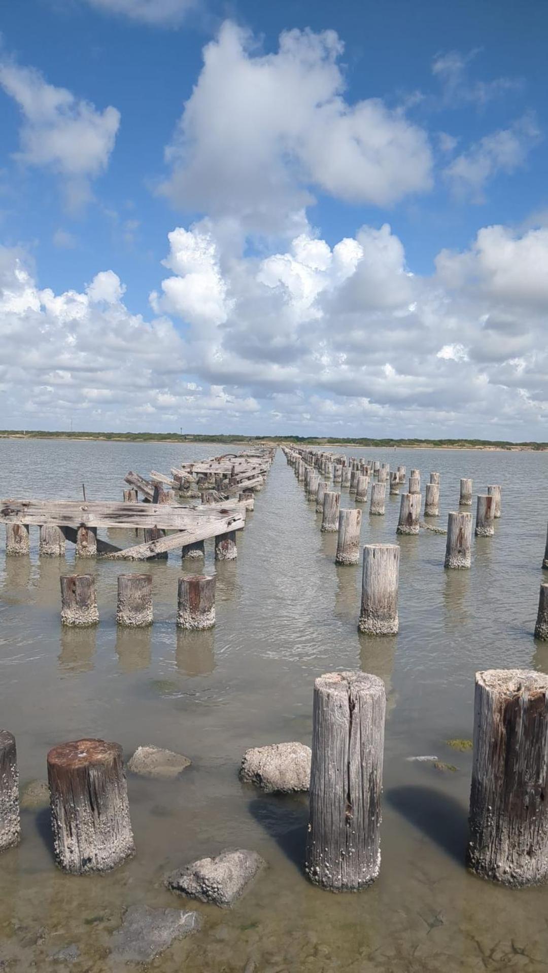 Corpus C Quiet Studio near Laguna Madre