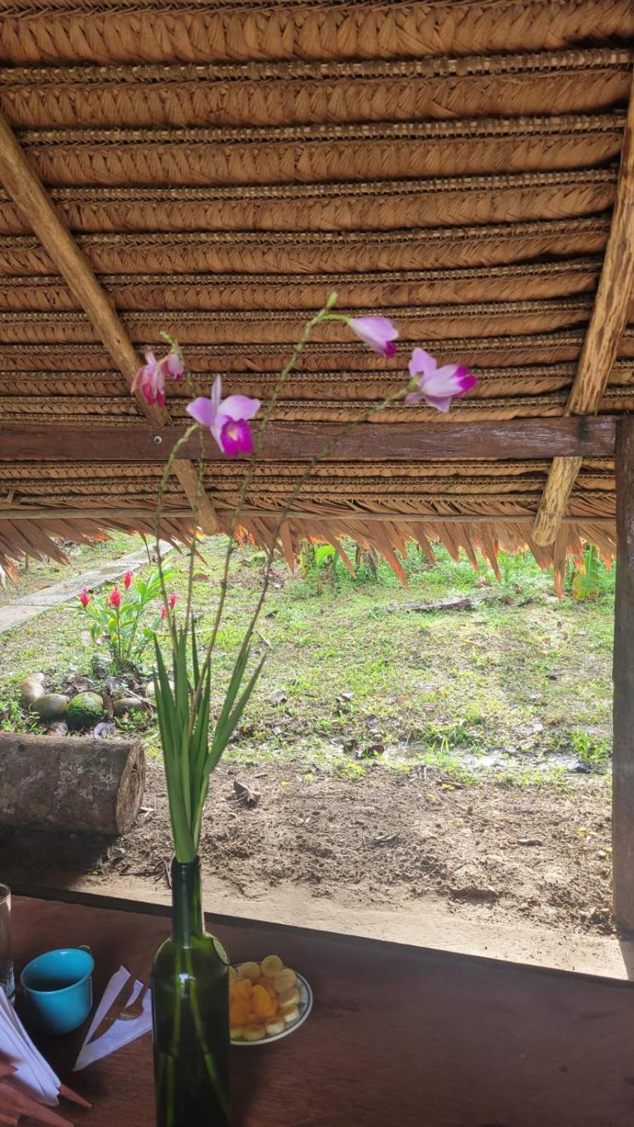 Eco Hostel RENASE