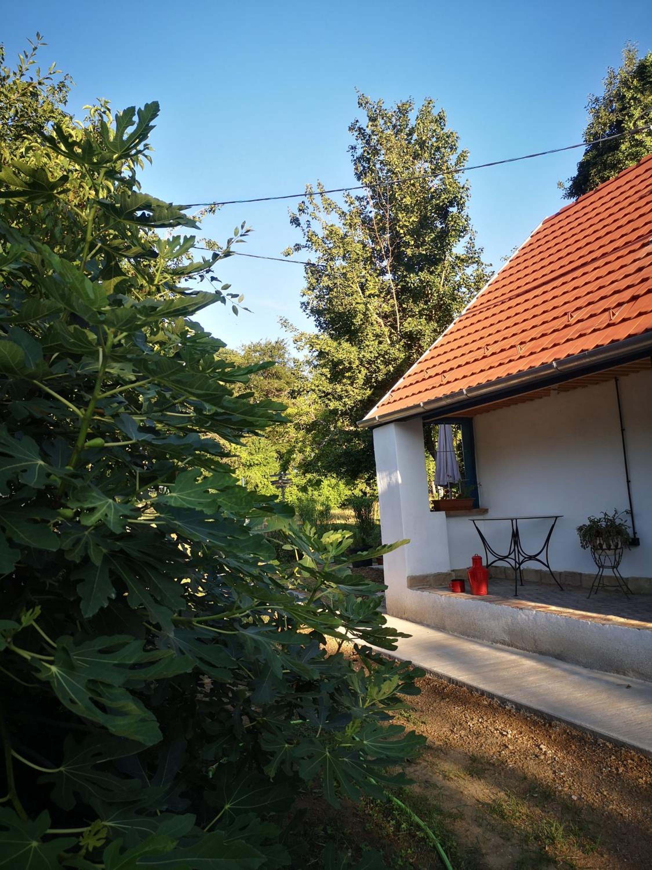 Photo 22