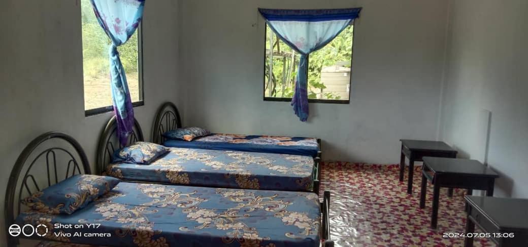 Helena Homestay