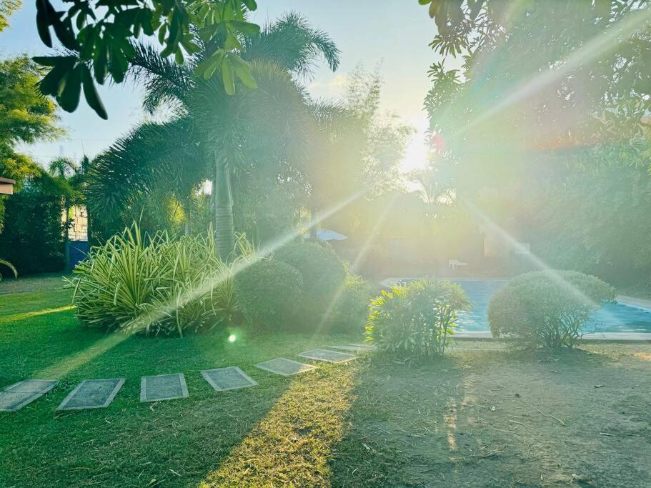 La Prima - The Perfect Urban Oasis view 5
