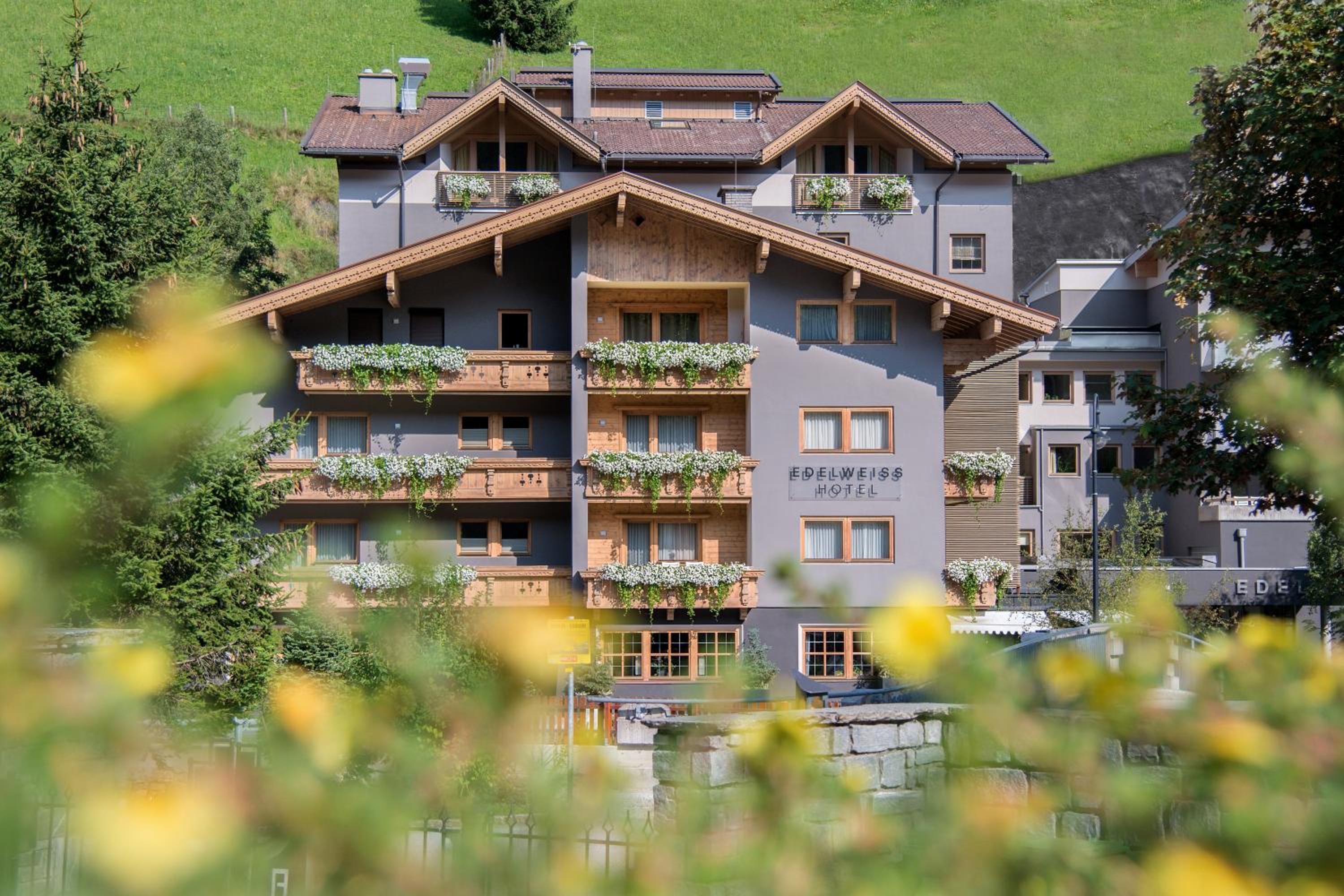Hotel Edelweiss - Image 1