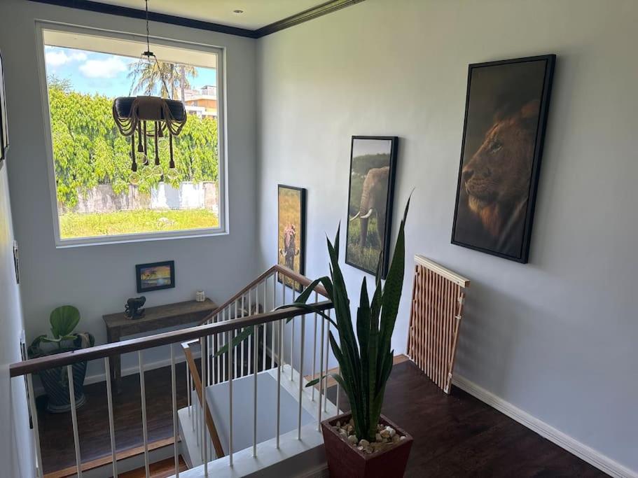 Passion Property