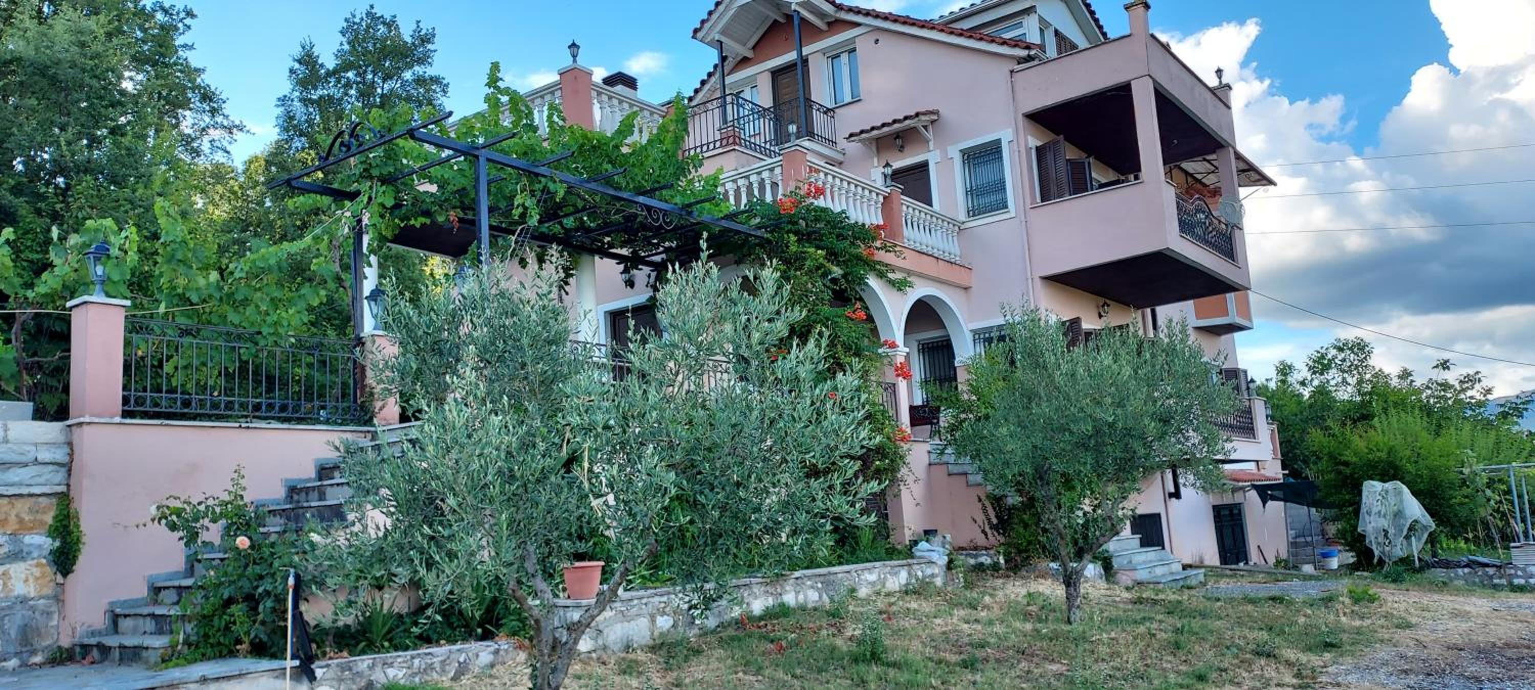 Photo 47