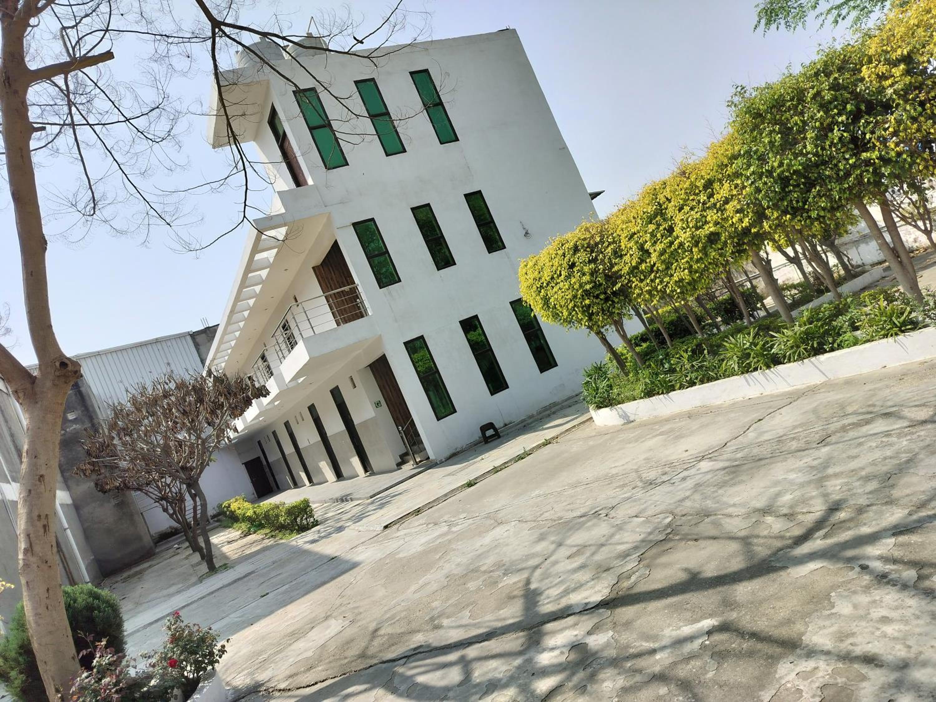 Photo 11