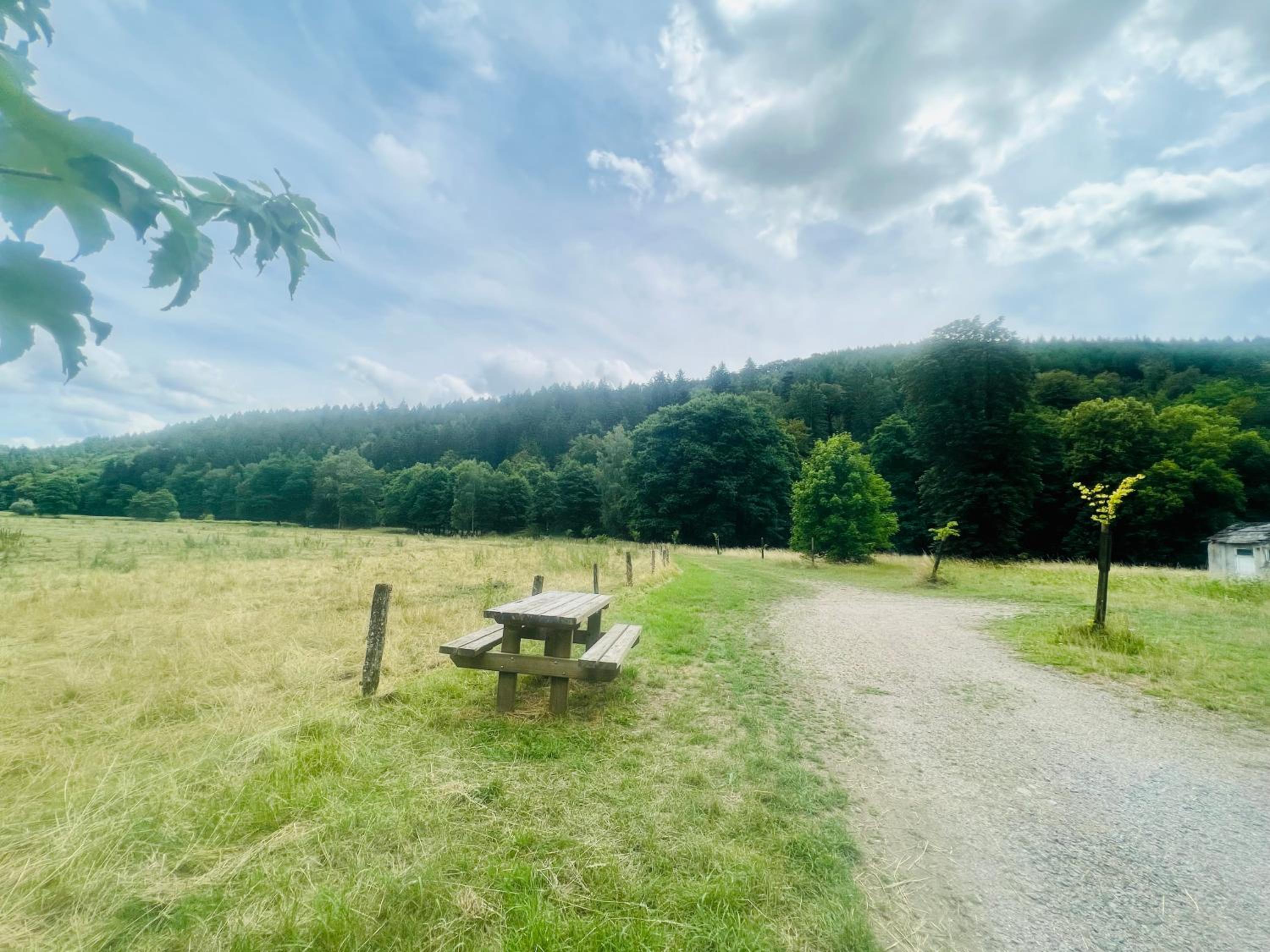 La balade en forêt - gîte 9 personnes en Ardenne